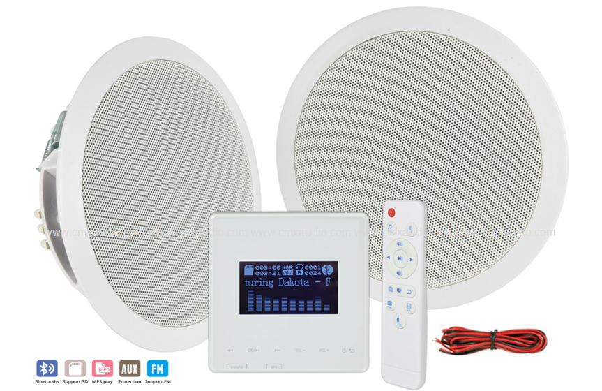 A5D In-Wall Amplifier & Ceiling Speaker Set