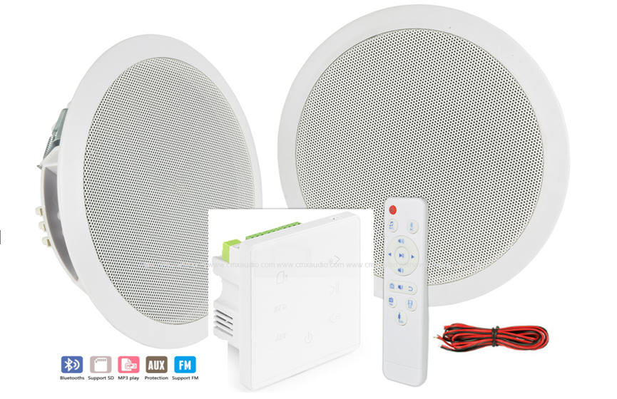 A3D In-Wall Amplifier & Ceiling Speaker Set