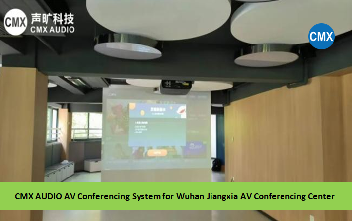 AV Conferencing System Sultuion for AV Conferencing Center & Government Buildings